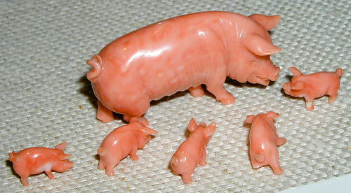 Коралл